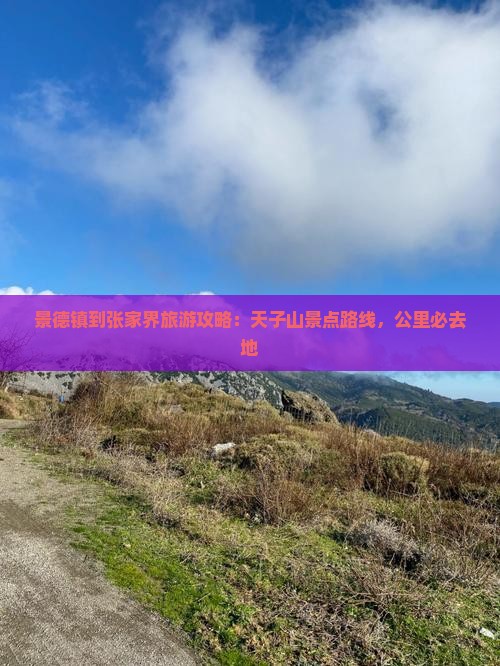 景德镇到张家界天子山必去地