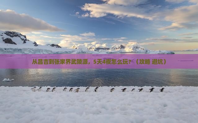 昌吉去张家界武陵源自由行