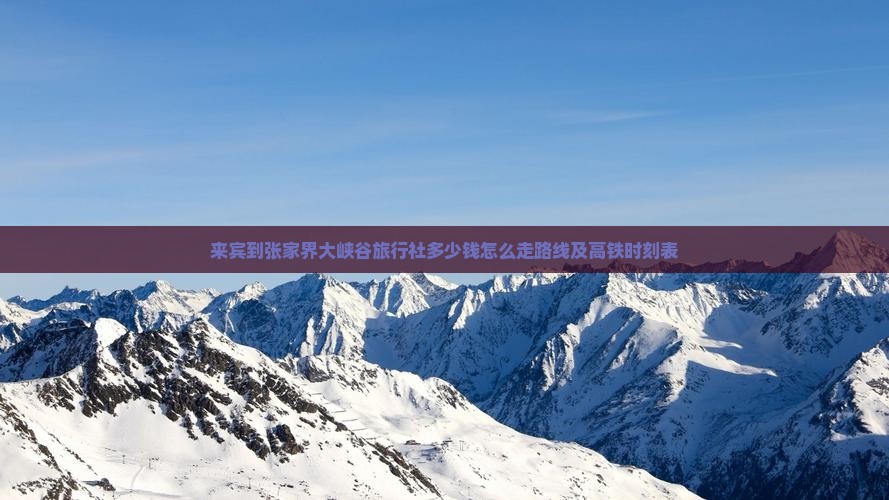 来宾到张家界大峡谷旅行社