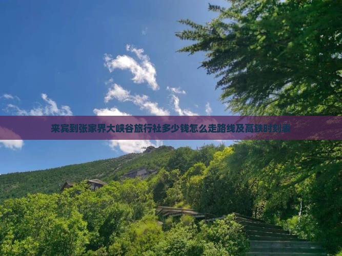 来宾到张家界大峡谷旅行社