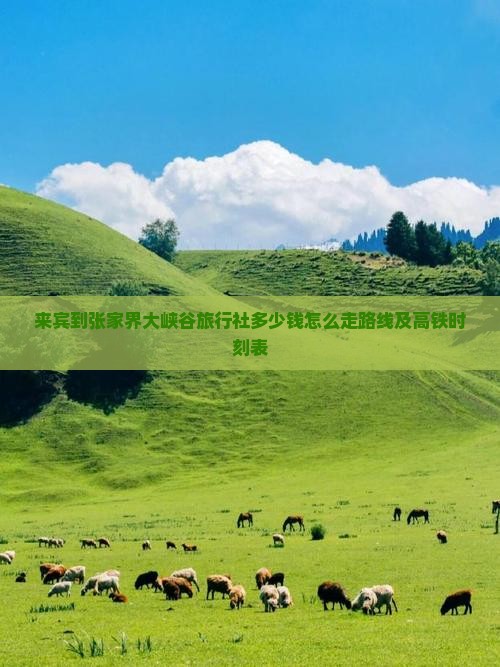 来宾到张家界大峡谷旅行社