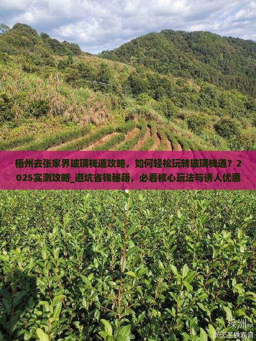 梧州去张家界玻璃栈道攻略