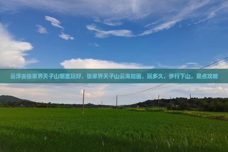 云浮去张家界天子山哪里玩