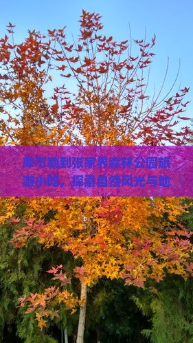 库尔勒到张家界森林公园旅游小吃