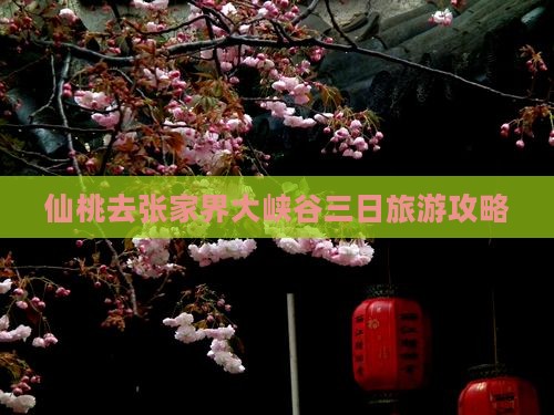 仙桃去张家界大峡谷三日游