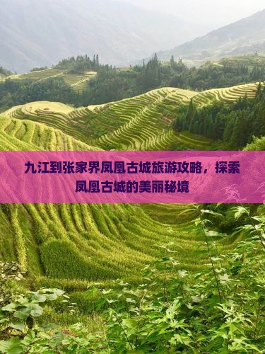 九江到张家界凤凰古城攻略