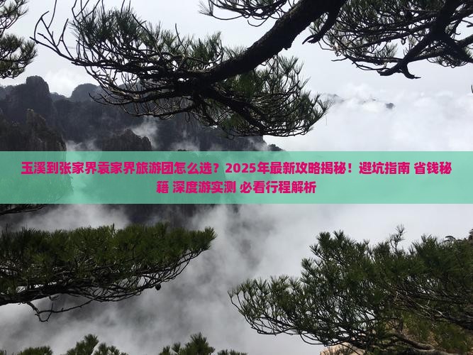 玉溪到张家界袁家界大型旅游团