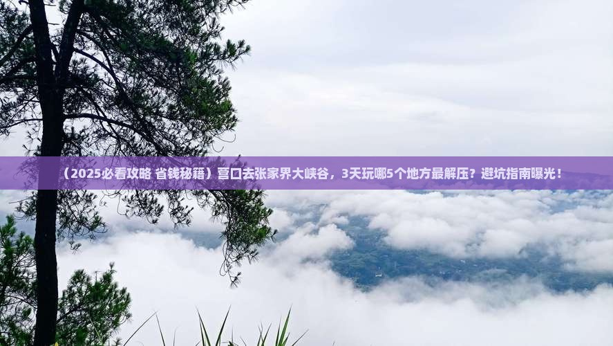 营口去张家界大峡谷哪里玩