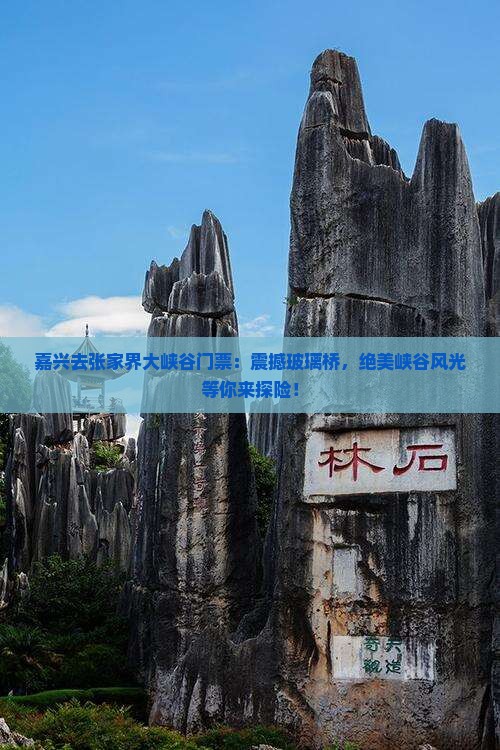 嘉兴去张家界大峡谷门票