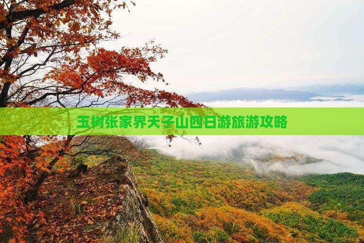 玉树去张家界天子山四日游
