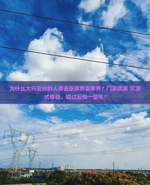大兴安岭去张家界袁家界门票