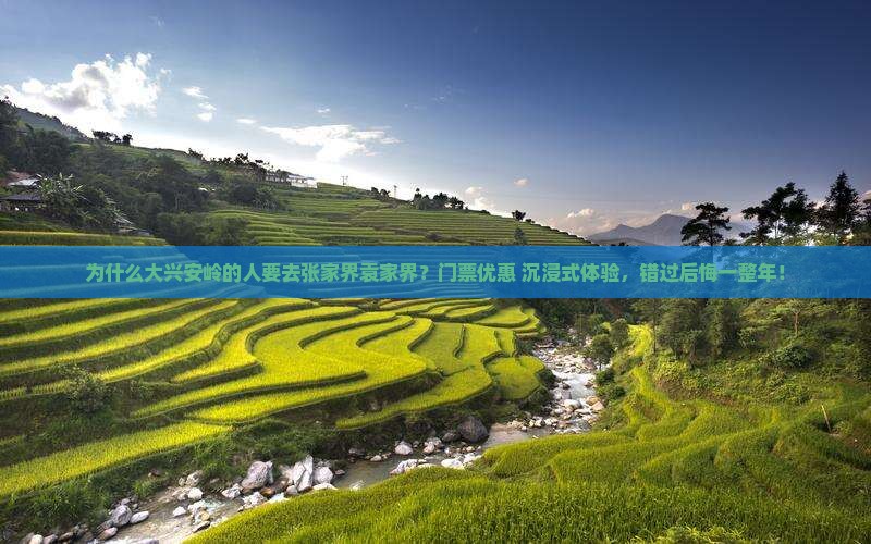 大兴安岭去张家界袁家界门票