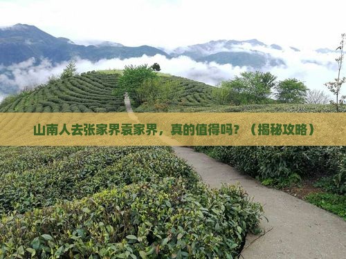 山南去张家界袁家界旅游