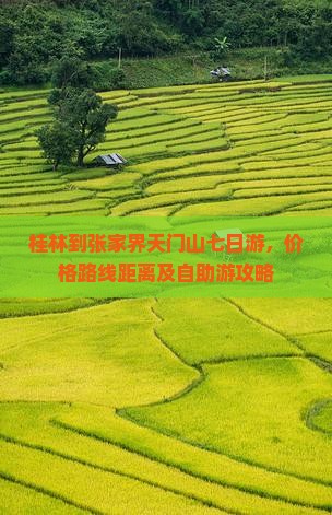 桂林到张家界天门山七日游