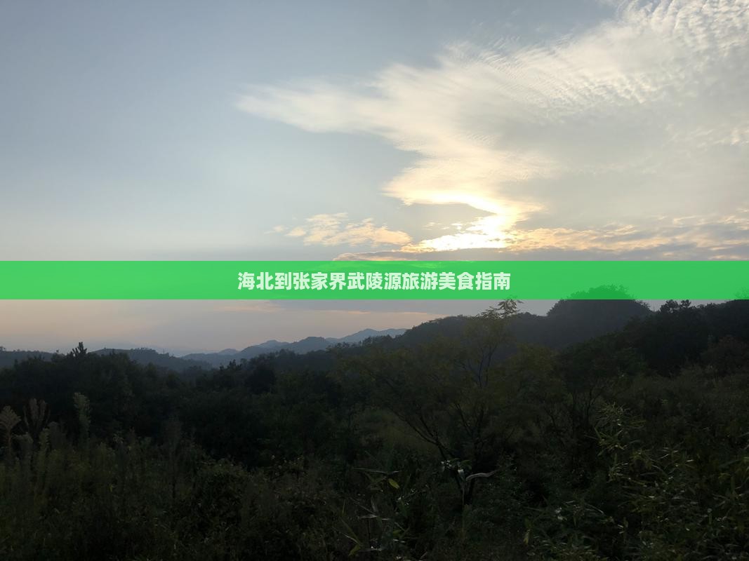 海北到张家界武陵源旅游小吃