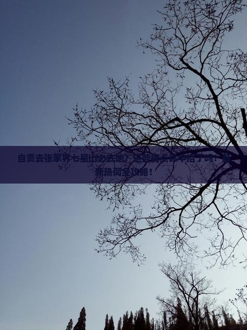 自贡去张家界七星山必去地
