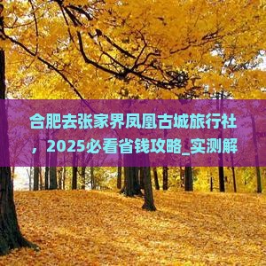 合肥去张家界凤凰古城旅行社