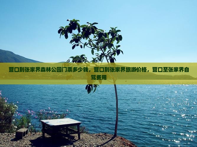 营口到张家界森林公园门票 营口到张家界森林公园门票