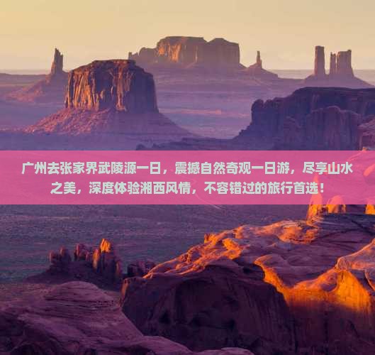 广州去张家界武陵源一日