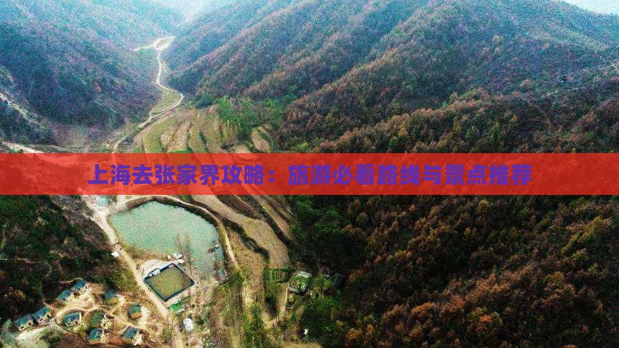 上海去张家界森林公园景点