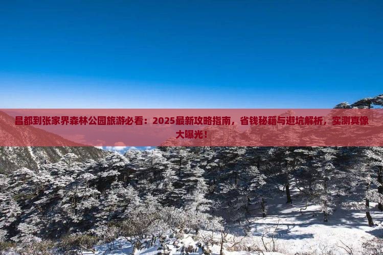 昌都到张家界森林公园旅游