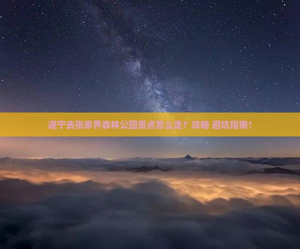 遂宁去张家界森林公园景点