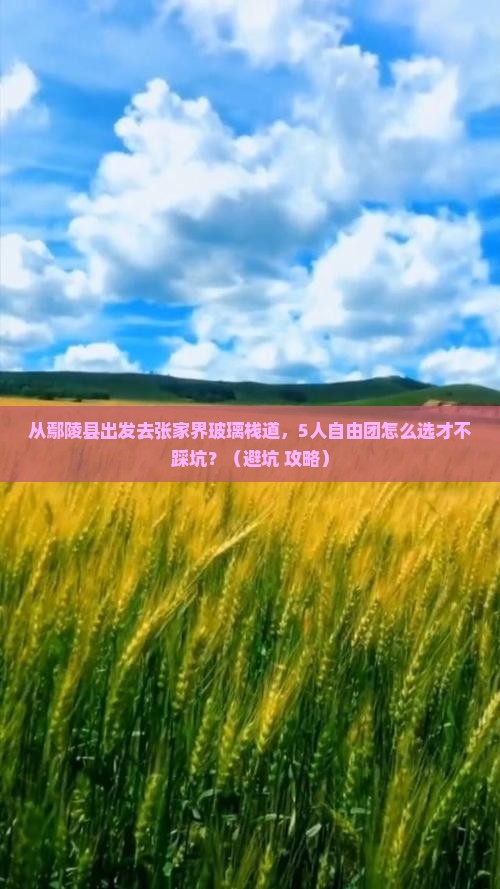鄢陵县去张家界玻璃栈道自由团