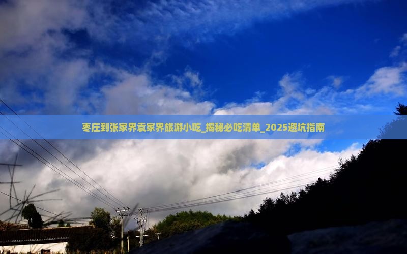 枣庄到张家界袁家界旅游小吃