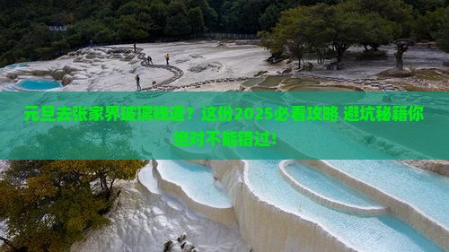 元旦去张家界玻璃栈道旅行社