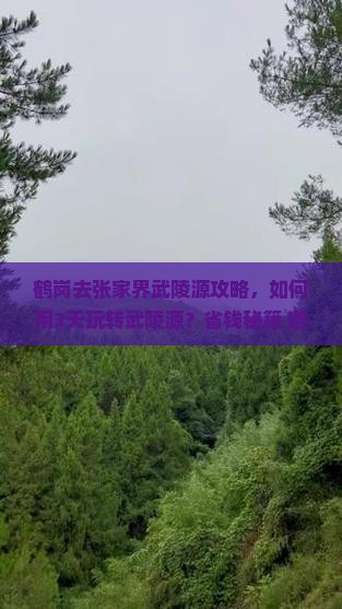 鹤岗去张家界武陵源攻略