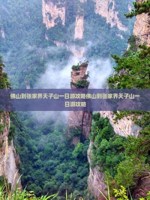 佛山到张家界天子山一日