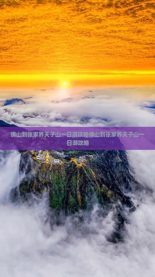 佛山到张家界天子山一日