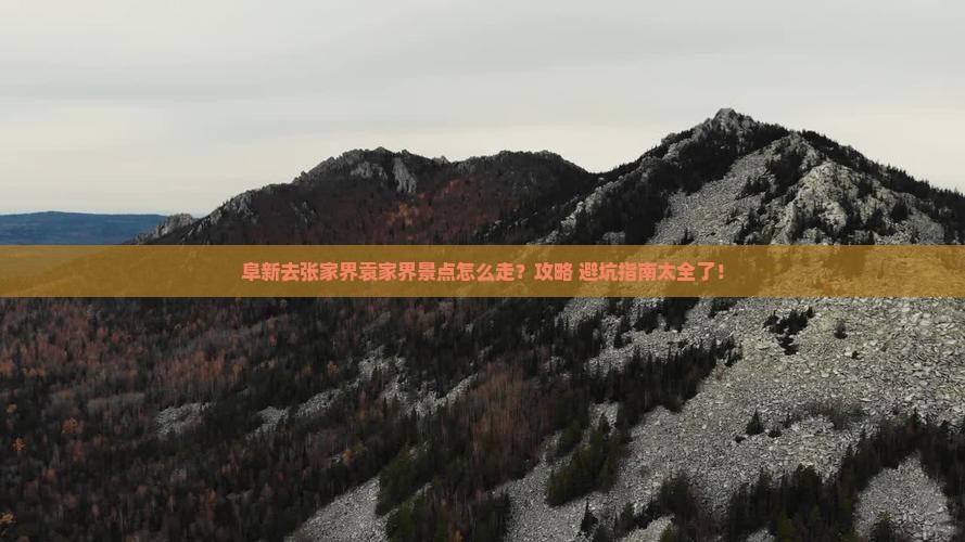 阜新去张家界袁家界景点