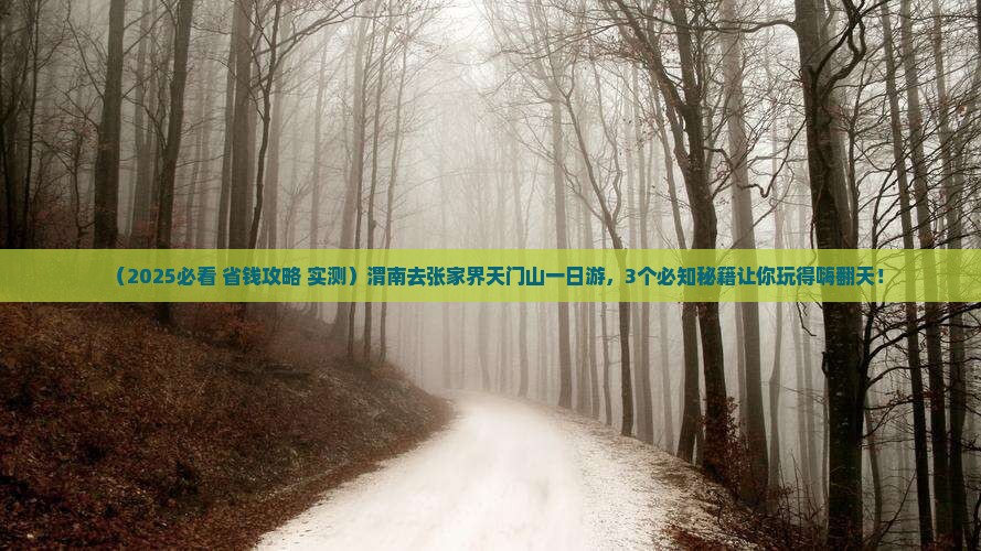 渭南去张家界天门山一日