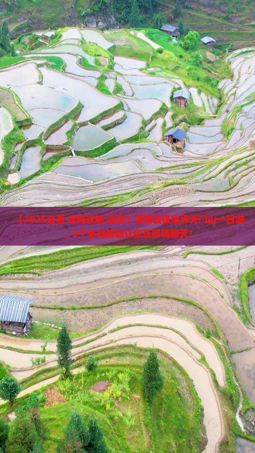 渭南去张家界天门山一日