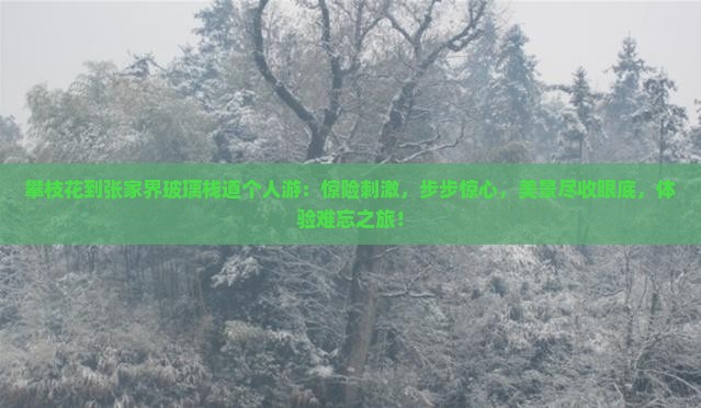 攀枝花到张家界玻璃栈道个人游