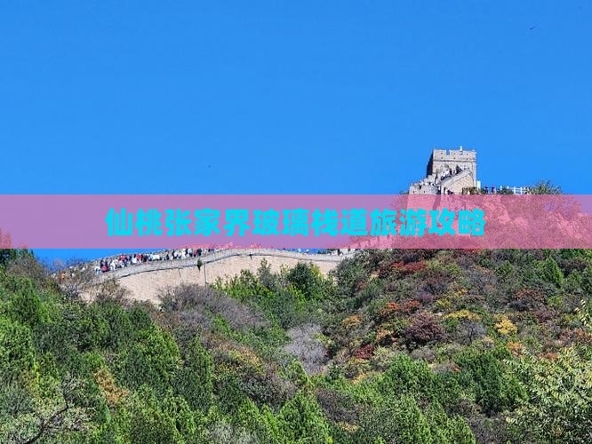 仙桃去张家界玻璃栈道旅行社
