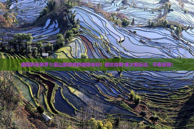 德阳到张家界七星山旅游 德阳到张家界七星山旅游