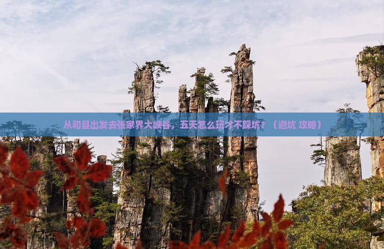 和县去张家界大峡谷五日游