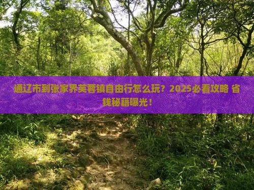 通辽市到张家界芙蓉镇自由行