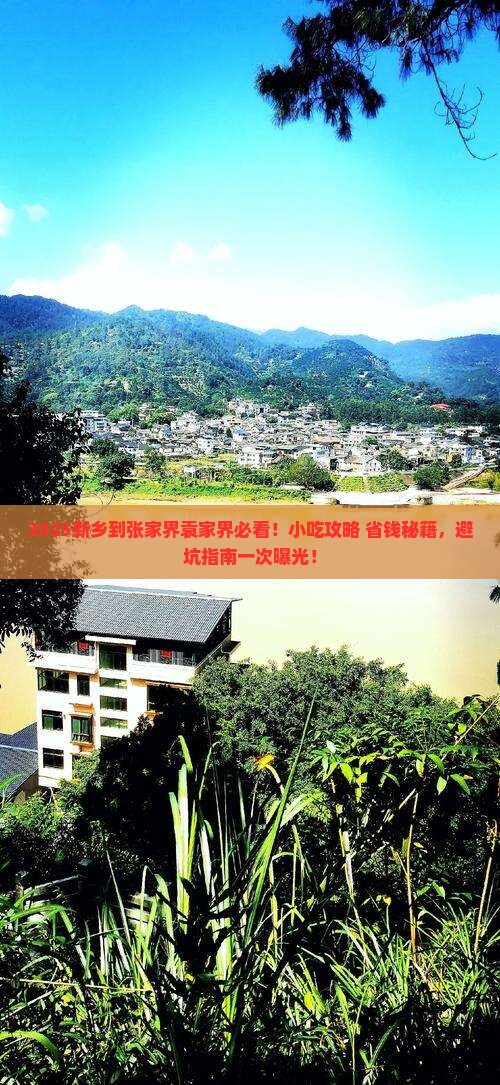 新乡到张家界袁家界旅游小吃