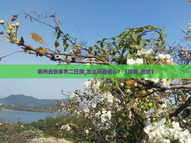 郴州去张家界二日游
