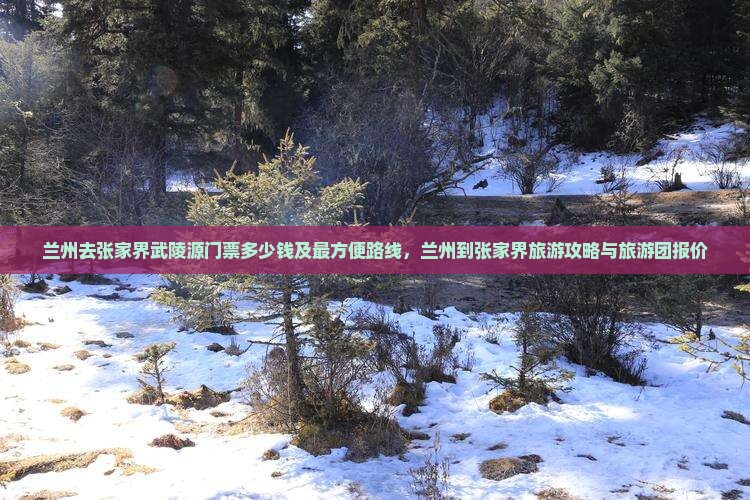 兰州去张家界武陵源门票