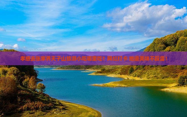 孝感去张家界天子山旅游小吃