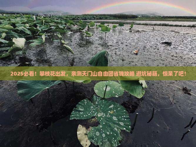 攀枝花去张家界天门山自由团