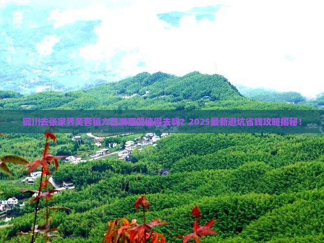 铜川去张家界芙蓉镇六日游