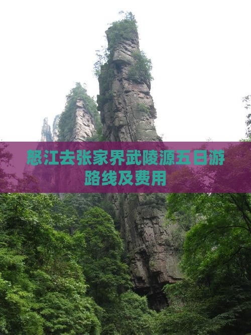 怒江去张家界武陵源五日游