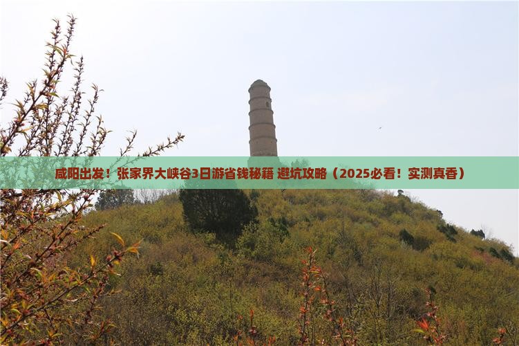 咸阳到张家界大峡谷旅行社