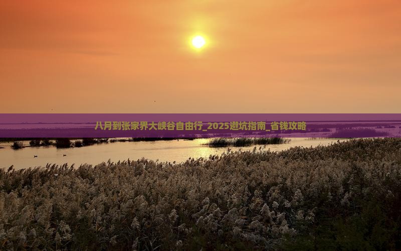 八月到张家界大峡谷自由行