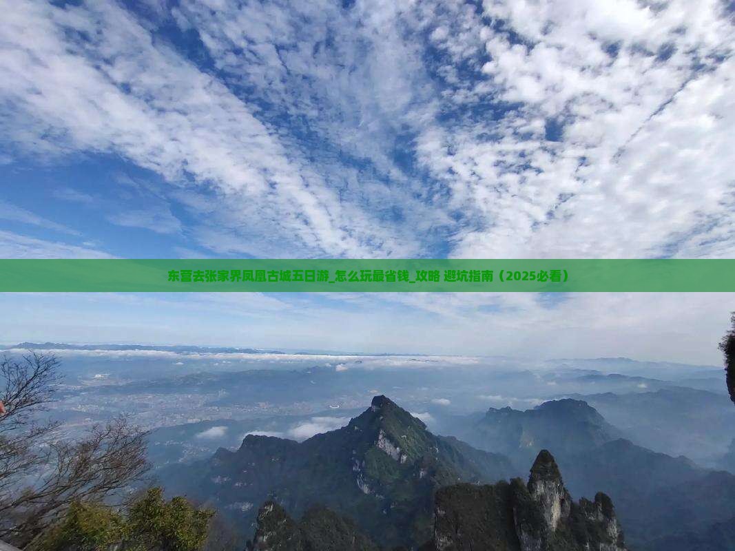 东营去张家界凤凰古城五日游 东营去张家界凤凰古城五日游